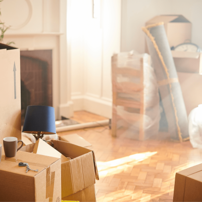 Bilder Rümpel-Graf_ (1)